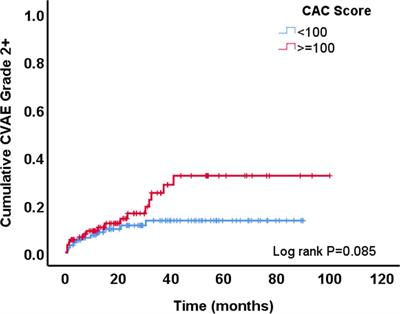 Coronary artery calcium score on standard of care oncologic CT scans for the prediction of adverse cardiovascular events in patients with non-small cell lung cancer treated with concurrent chemoradiotherapy